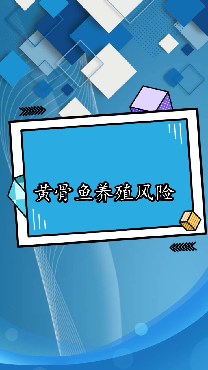 黄骨鱼养殖风险大吗