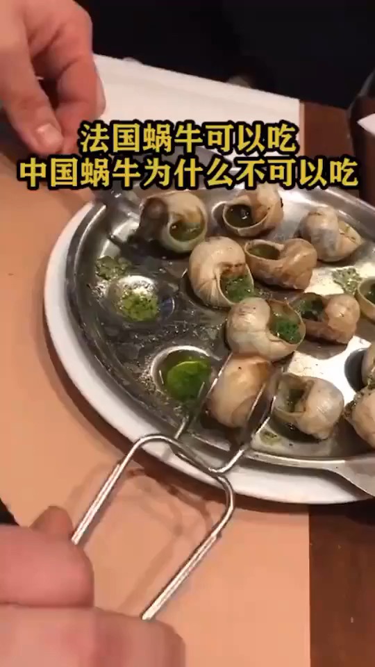 法国蜗牛可以吃,中国蜗牛为什么不可以吃?