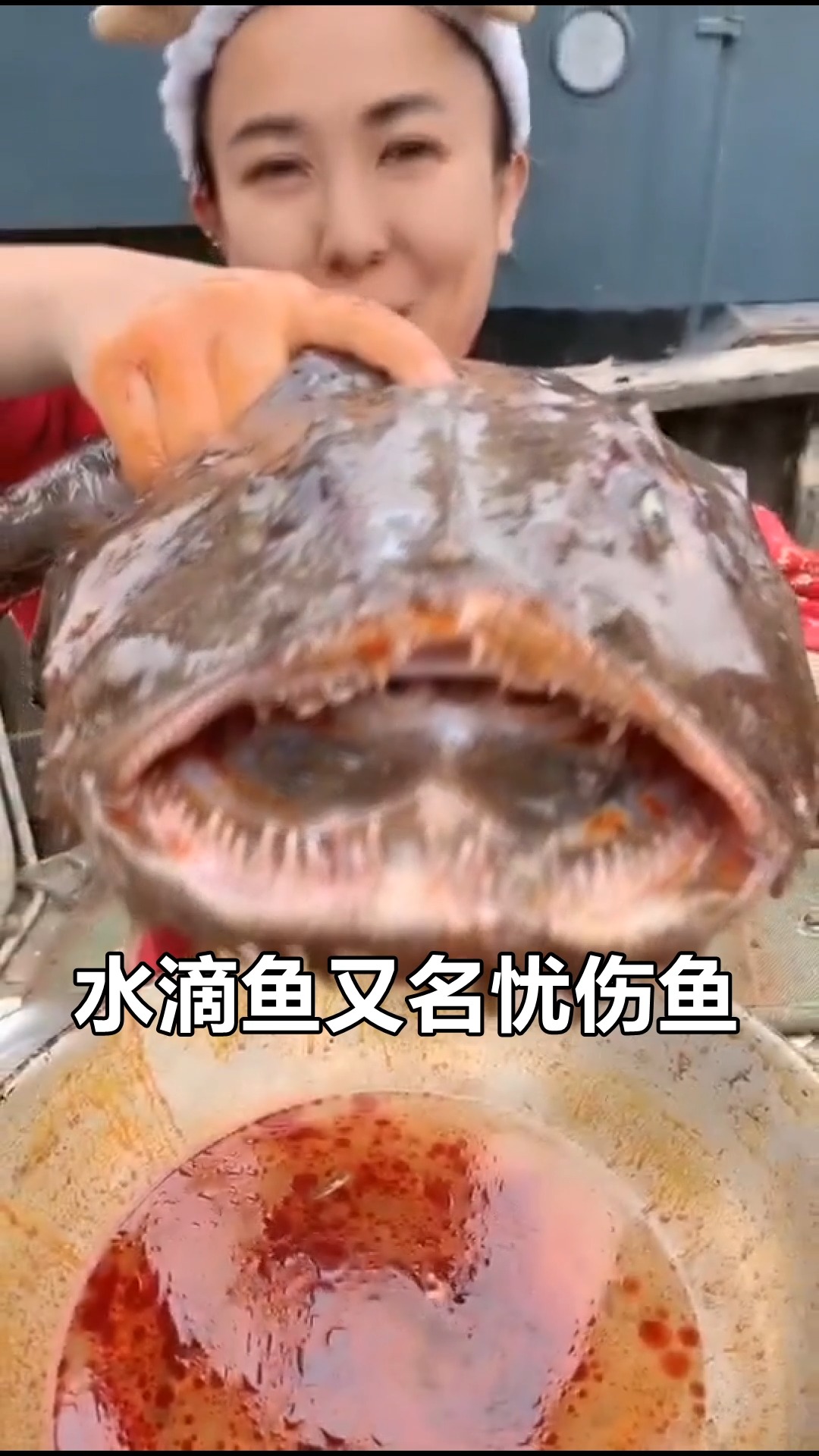 世界上最丑的鱼,大鼻子大眼睛还一脸的忧伤!