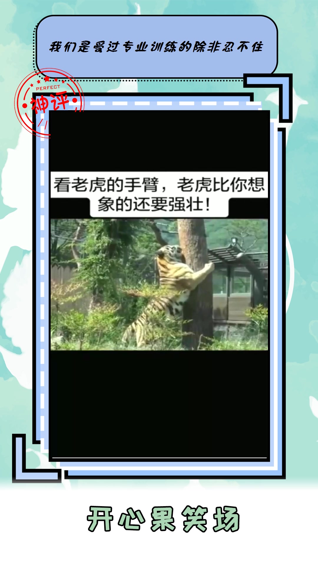#搞笑#令人惧怕的老虎就看这手臂上的肌肉你相信武松能打死它吗