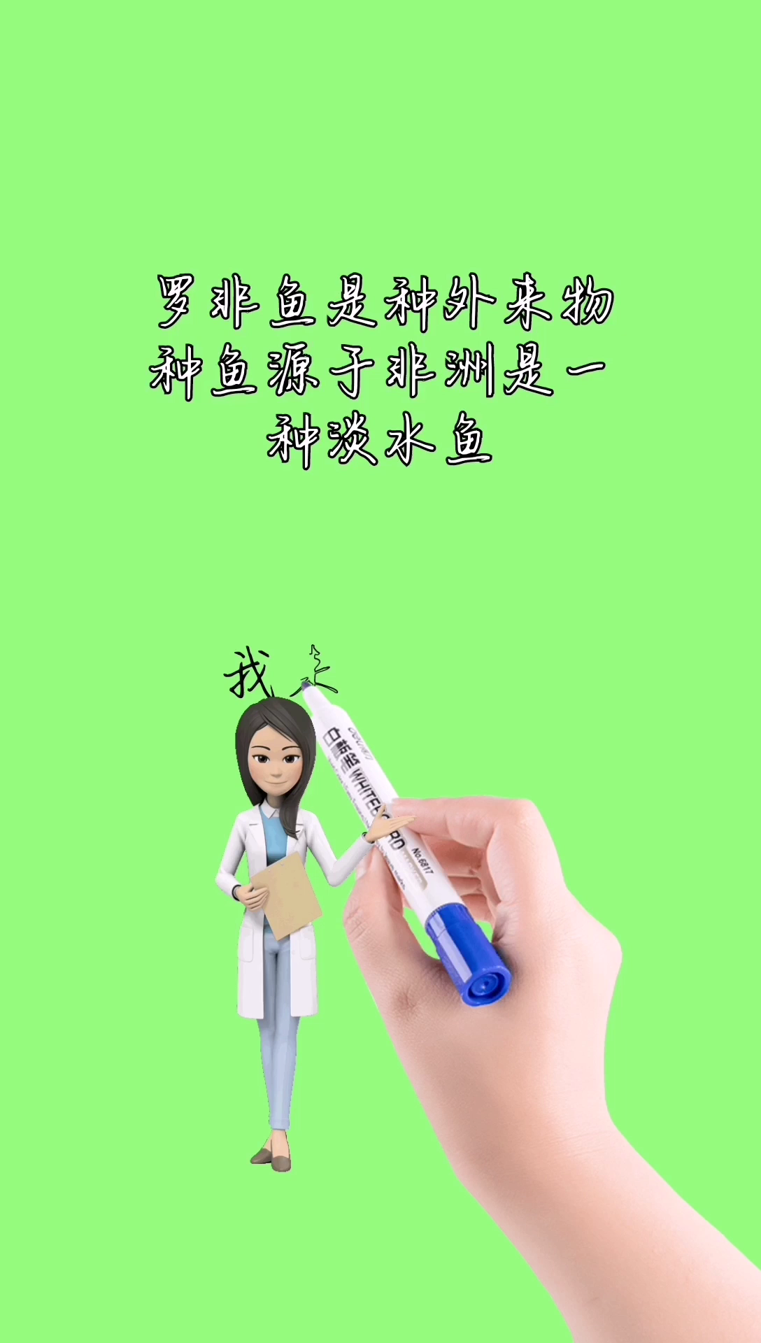我来告诉你罗非鱼是什么梗