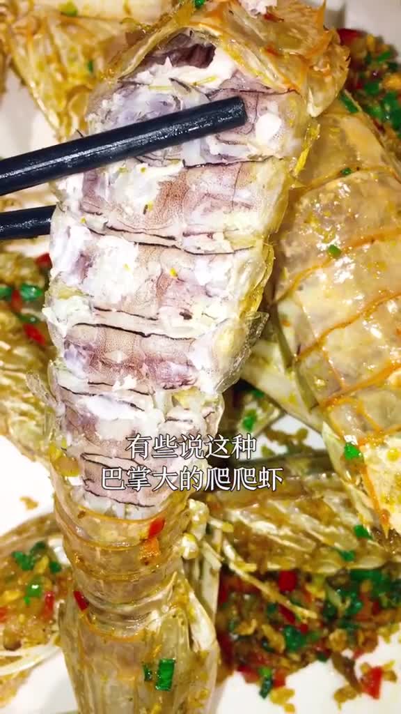 有些说这种巴掌大的爬爬虾