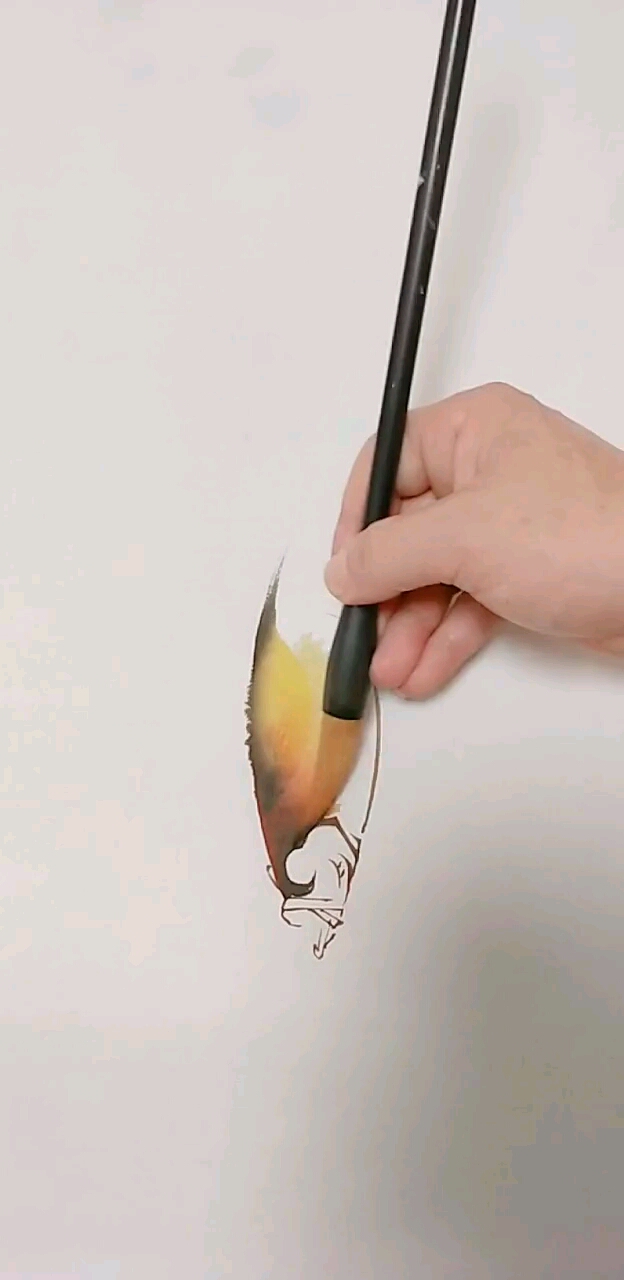 #我要上热门#教大家画孔雀鱼