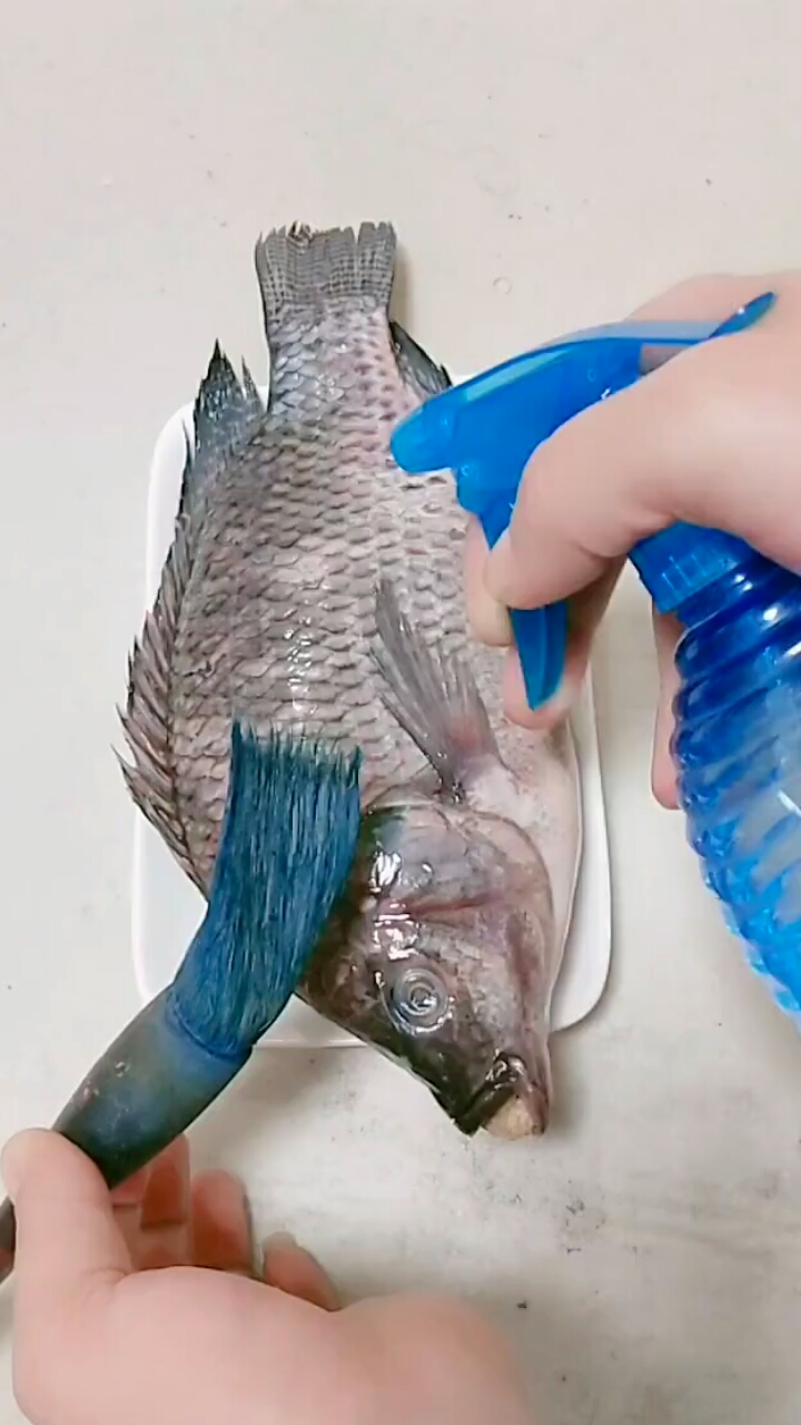 #我要上热门#怎样画罗非鱼呢?看完你就有了答案