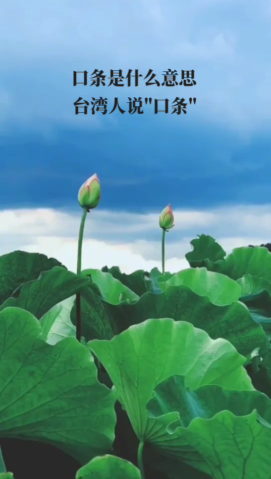 口条是什么意思??