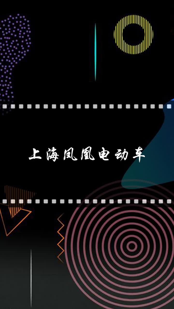 上海凤凰电动车