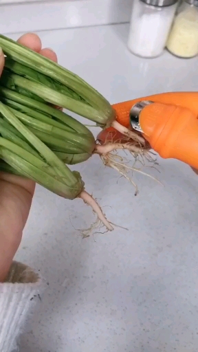 摘菜神奇厨房备用