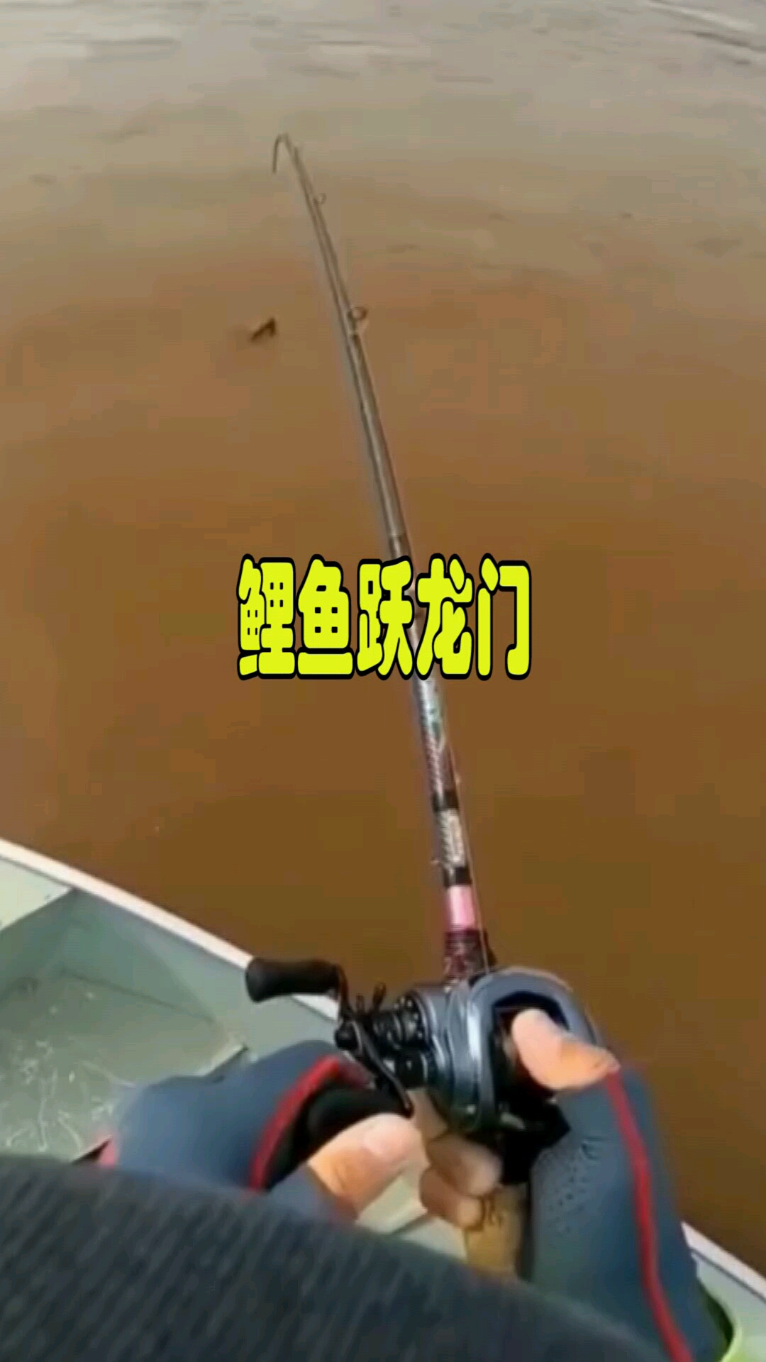 #钓鱼技巧#鲤鱼跃龙门,希望2020年不再有苦难