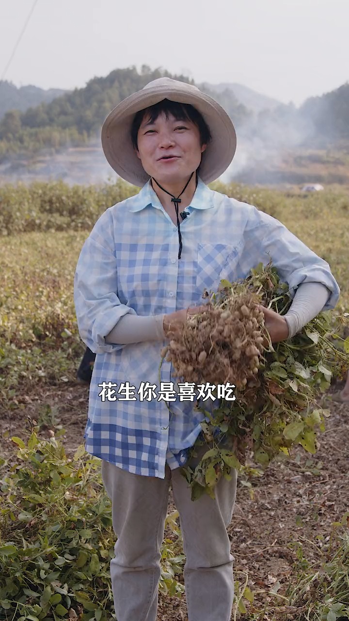 #美食#家乡高山老品种小籽红皮花生成熟,适合大部分人群的女性朋友,好看好吃还美味。
