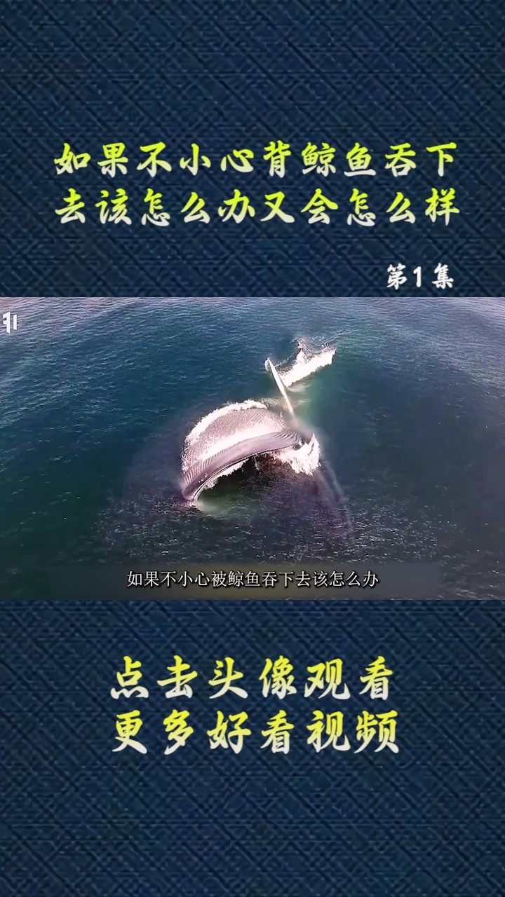 不小心被鲸鱼吞下,该怎么办又会怎么样。