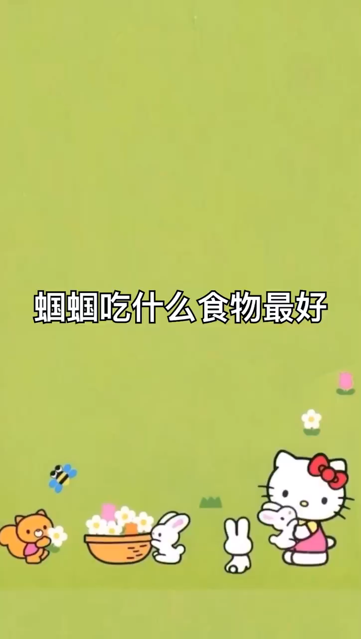 蝈蝈吃什么食物最好
