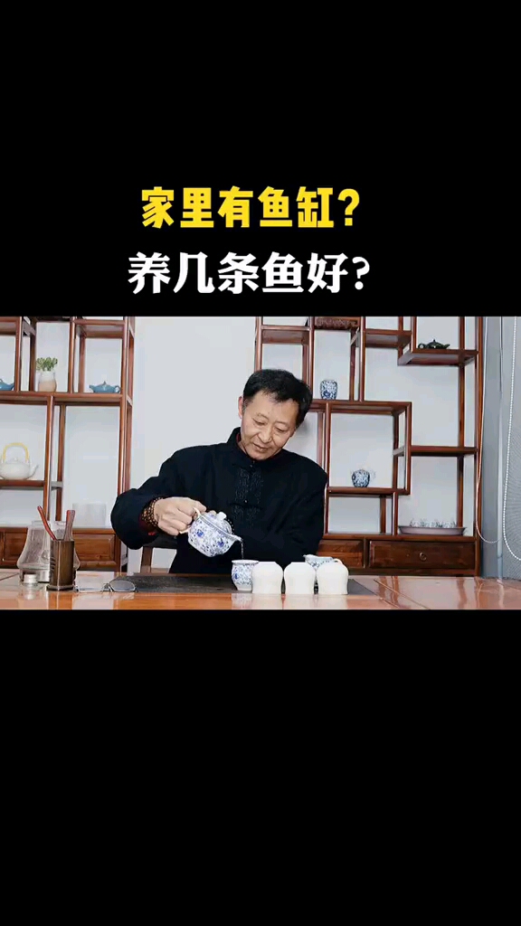 家里有鱼缸?养几条鱼好?