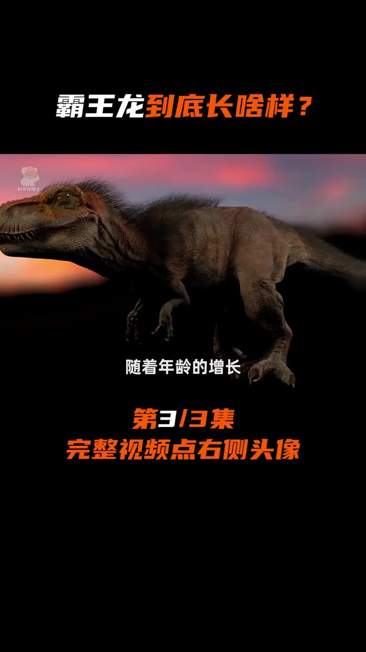 霸王龙的模样猜测了50年,直到后来有人提出它可能是鸡的祖先