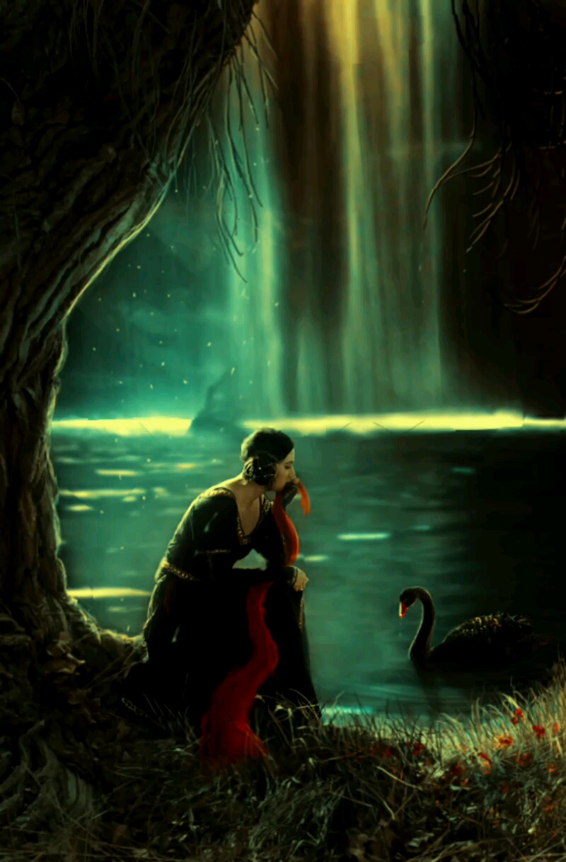 黑天鹅 手机壁纸