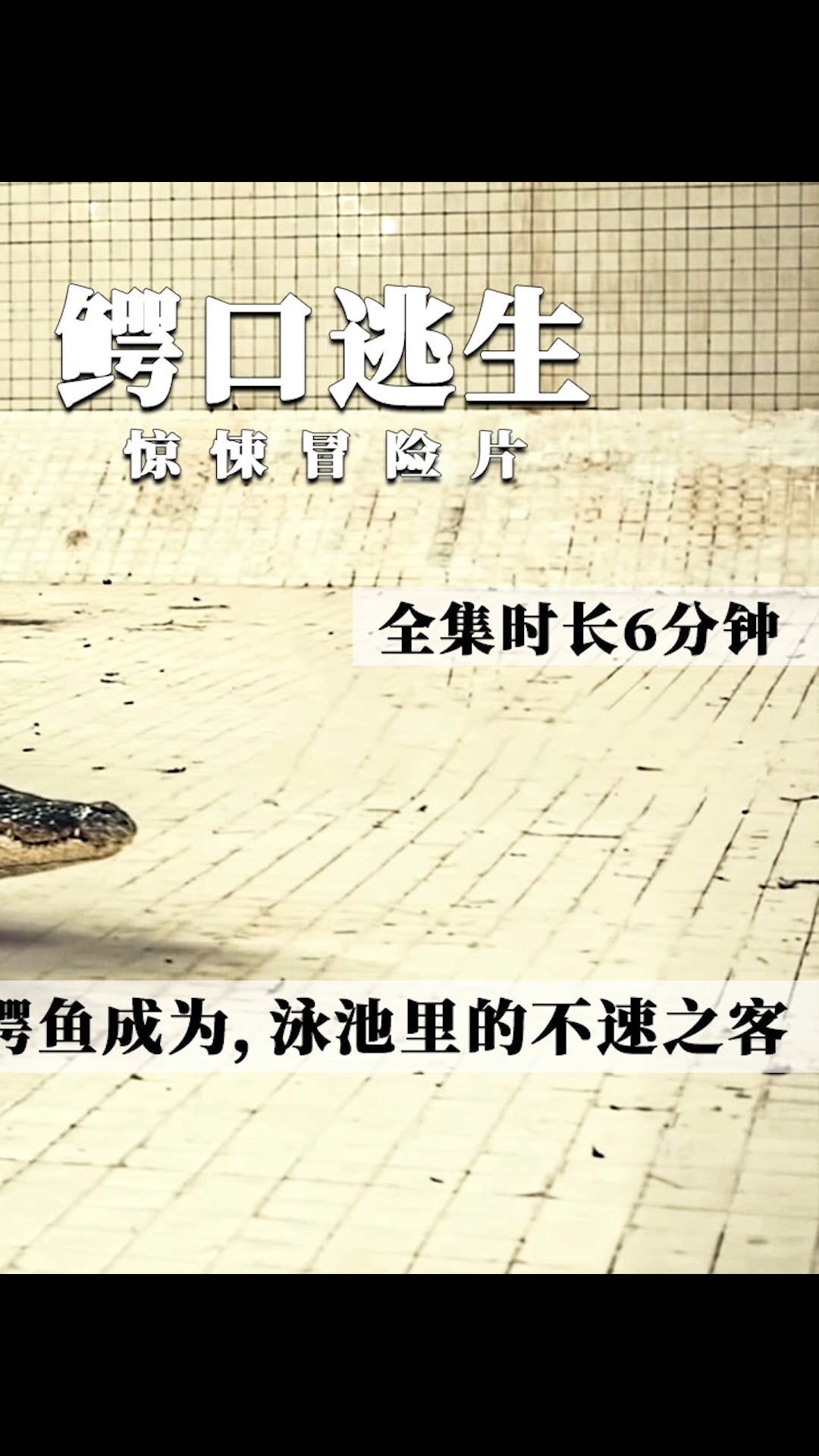#电影解说#情侣被困泳池六天,如何在鳄鱼面前艰难求生