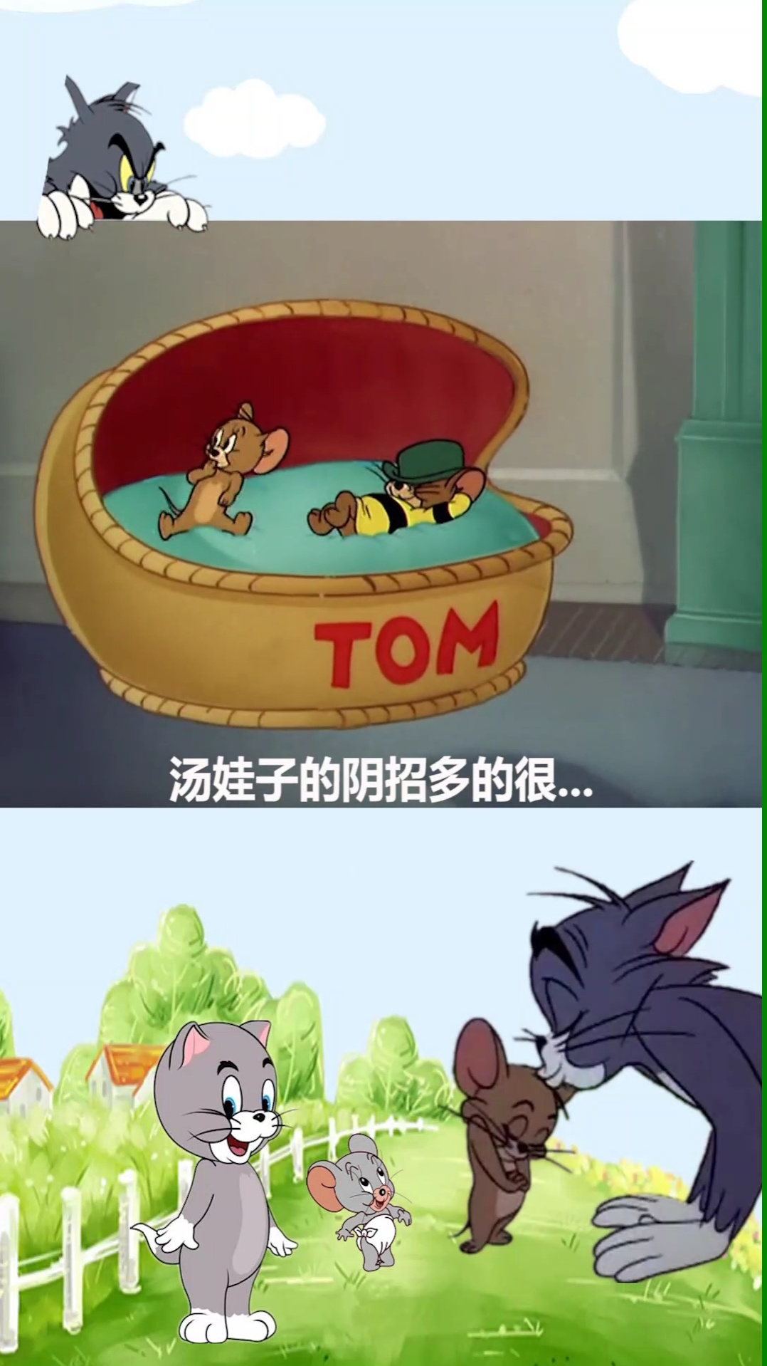 搞笑猫和老鼠方言配音:大表哥实力超群,汤姆招架不住……