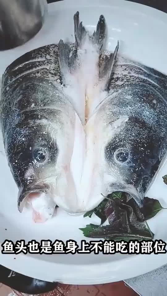 鱼身上“最脏”的部位藏有大量“寄生虫”