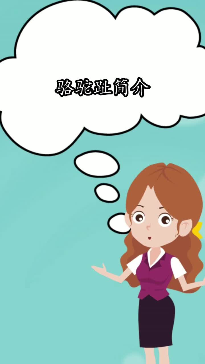 骆驼趾简介,你了解了吗