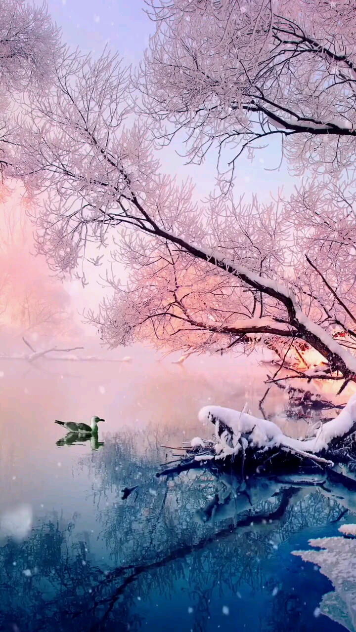 #我就是,白雪公主#美丽水景