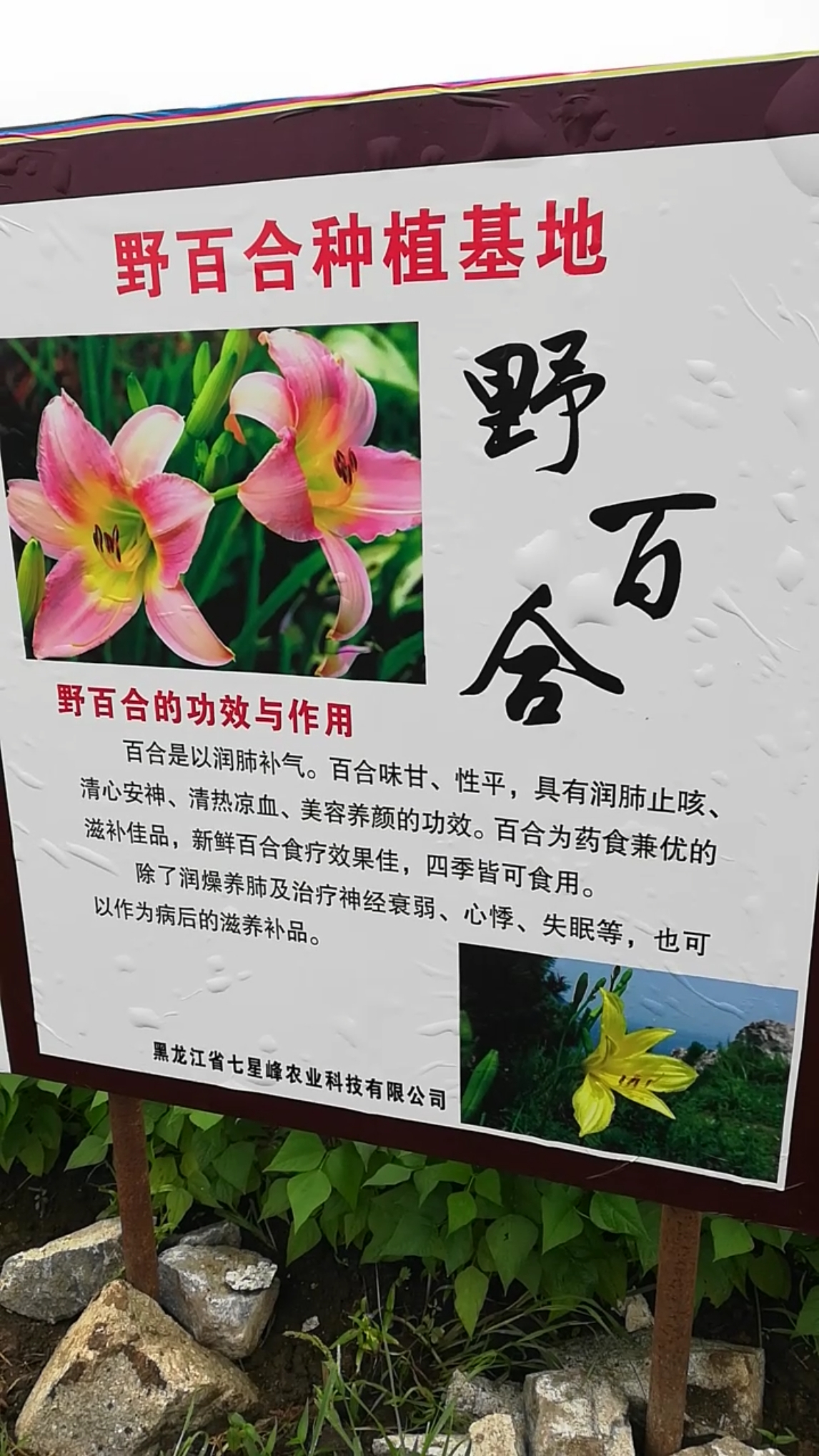 #夏日旅行目的地#夏天就应该到这里来旅行