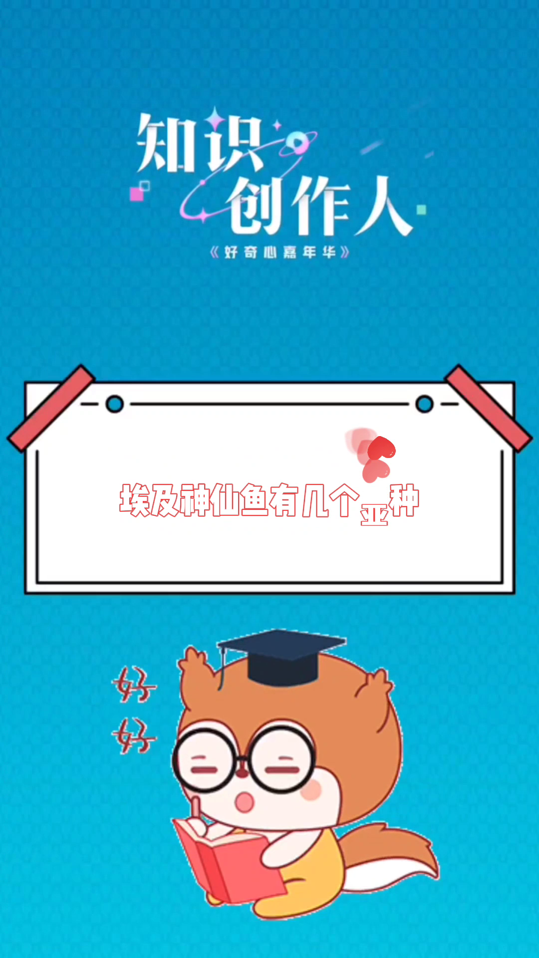 埃及神仙鱼有几个亚种