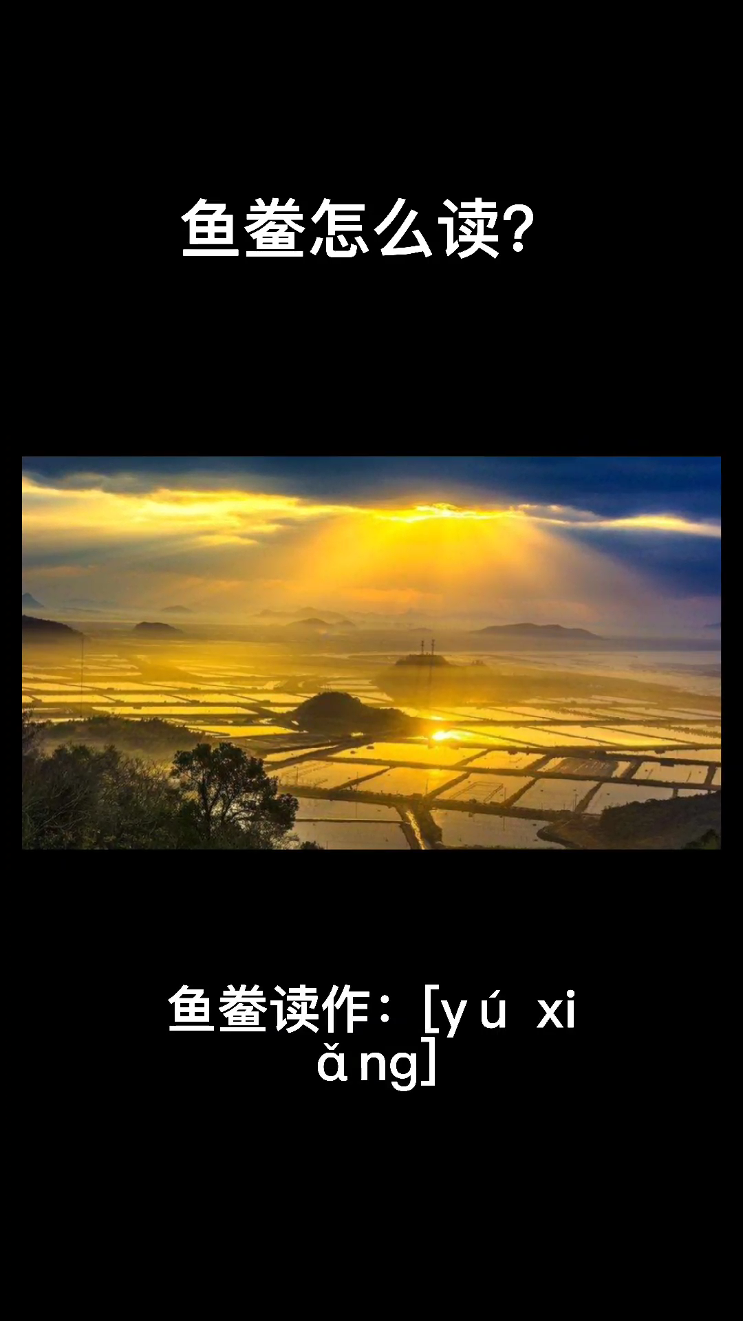 鱼鲞怎么读???