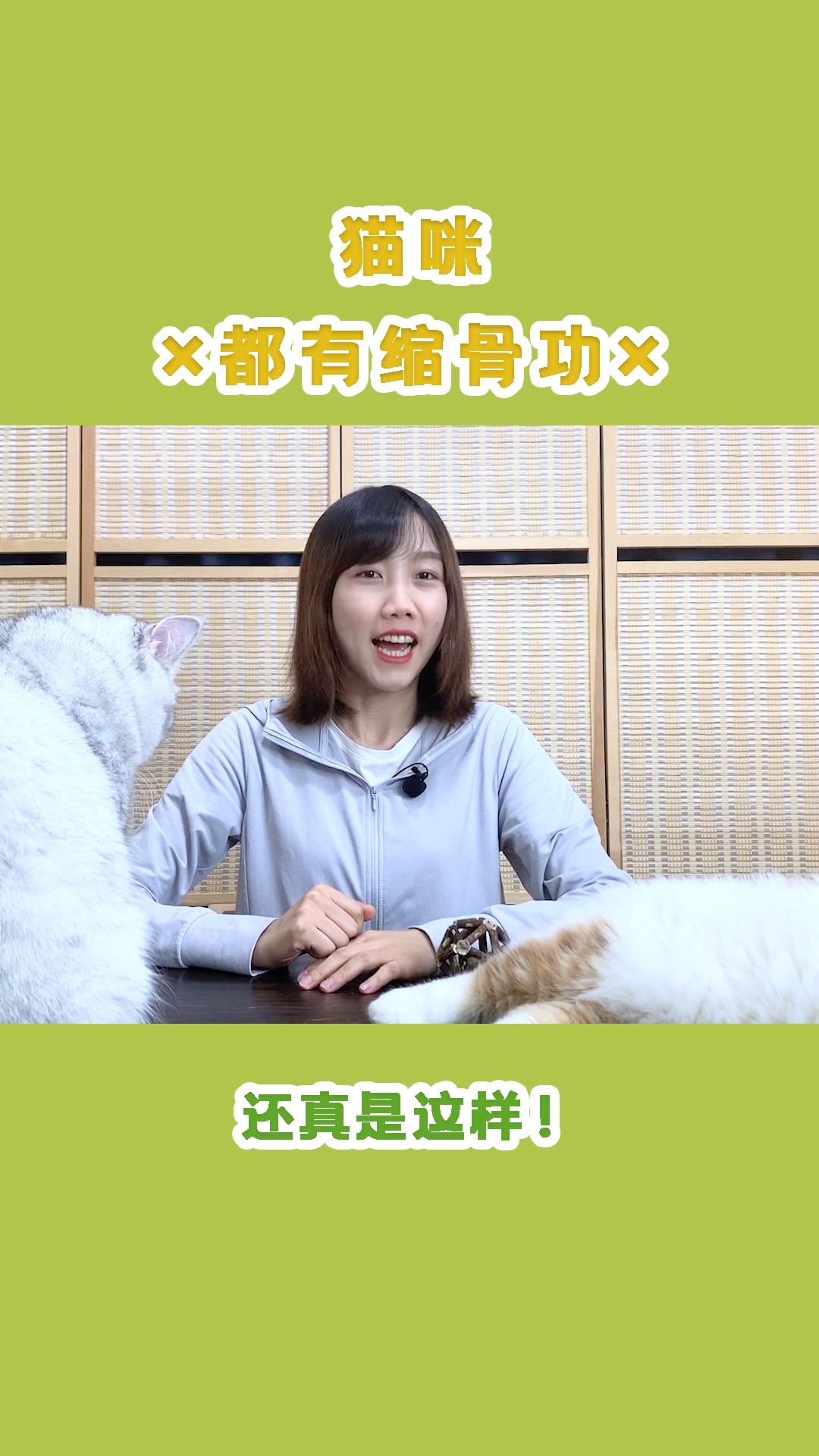 #猫#猫咪都有缩骨功,所以他们都能像水一样流动