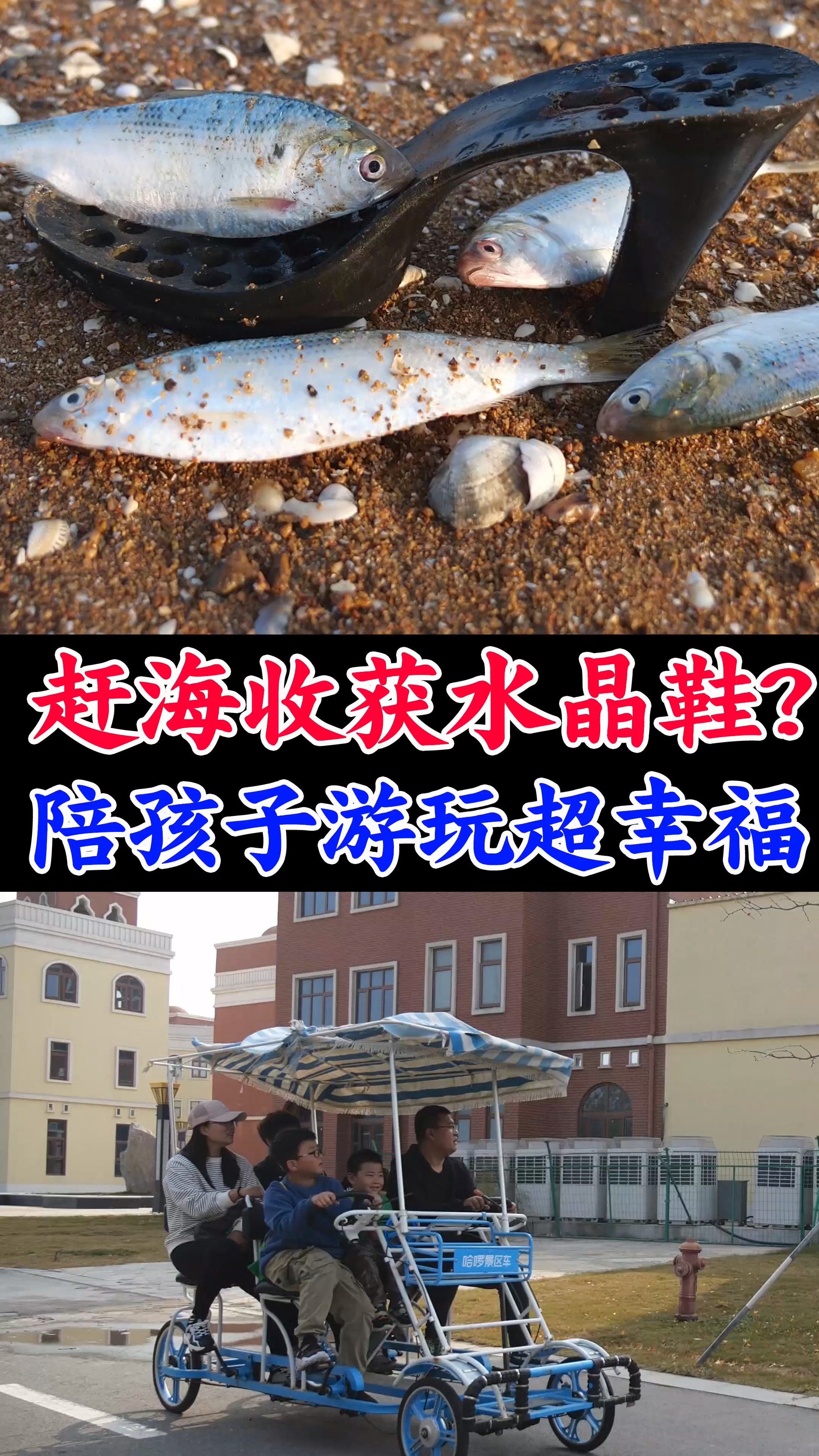 #记录我的农村生活#大梅赶海收获热气球和水晶鞋,傻傻期待王子的出现!