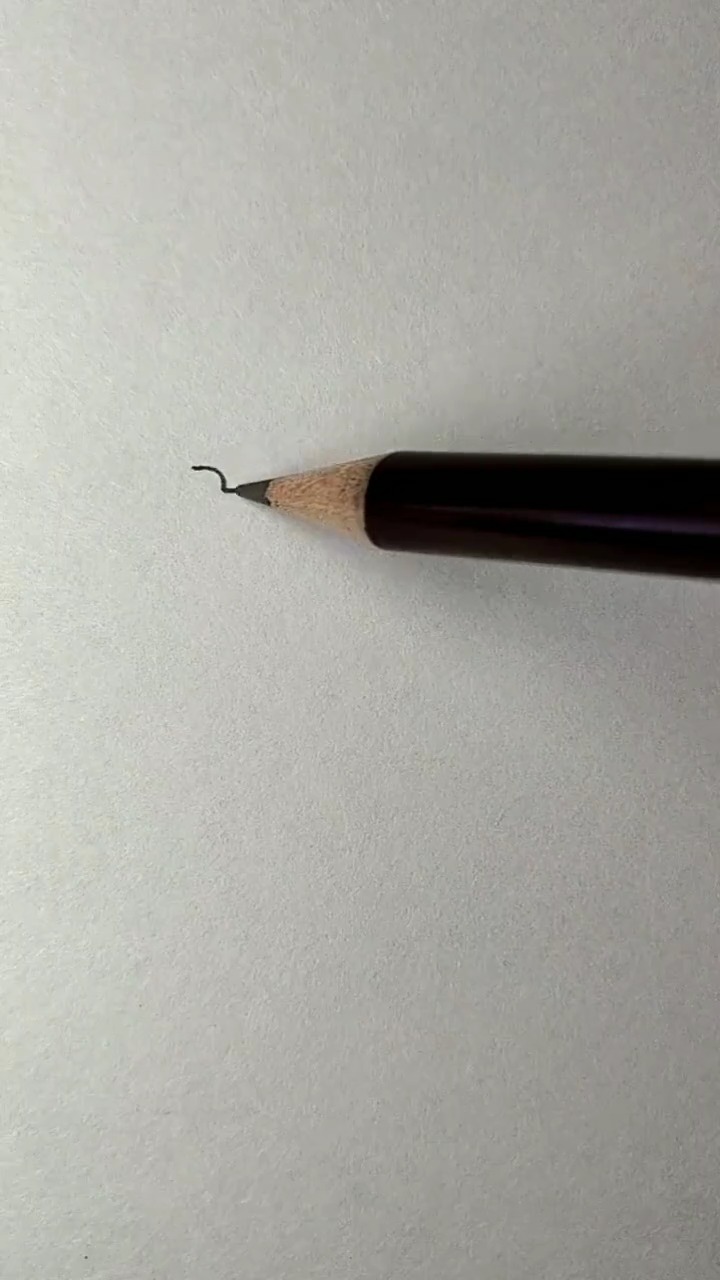 画带着蝴蝶结的可爱泰迪犬