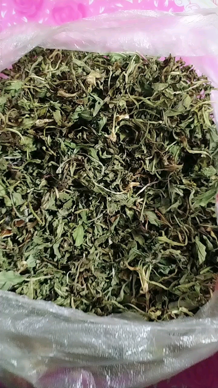 看秋天晒得蒲公英