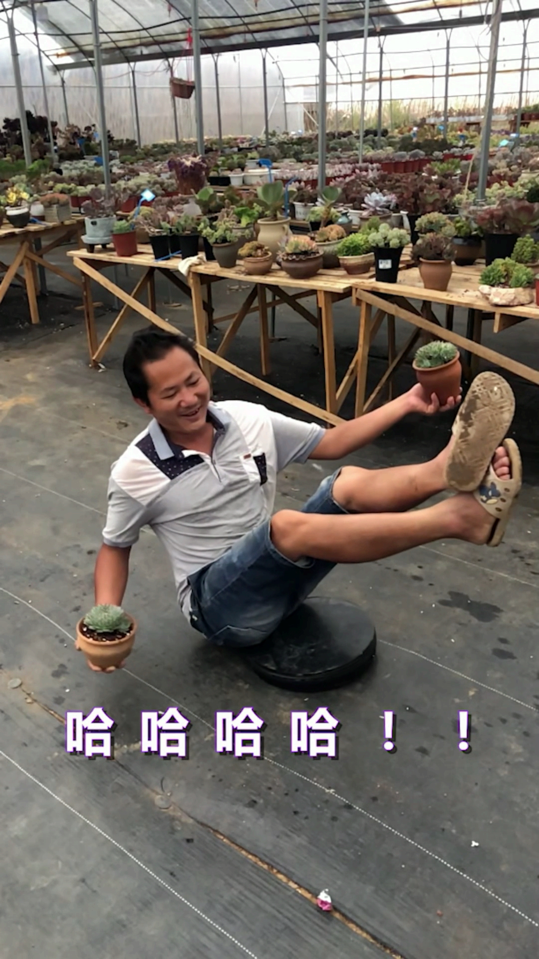 #吃瓜群众#还是要坚持每天和大家聊一种多肉的!谢谢大家的支持和鼓励!