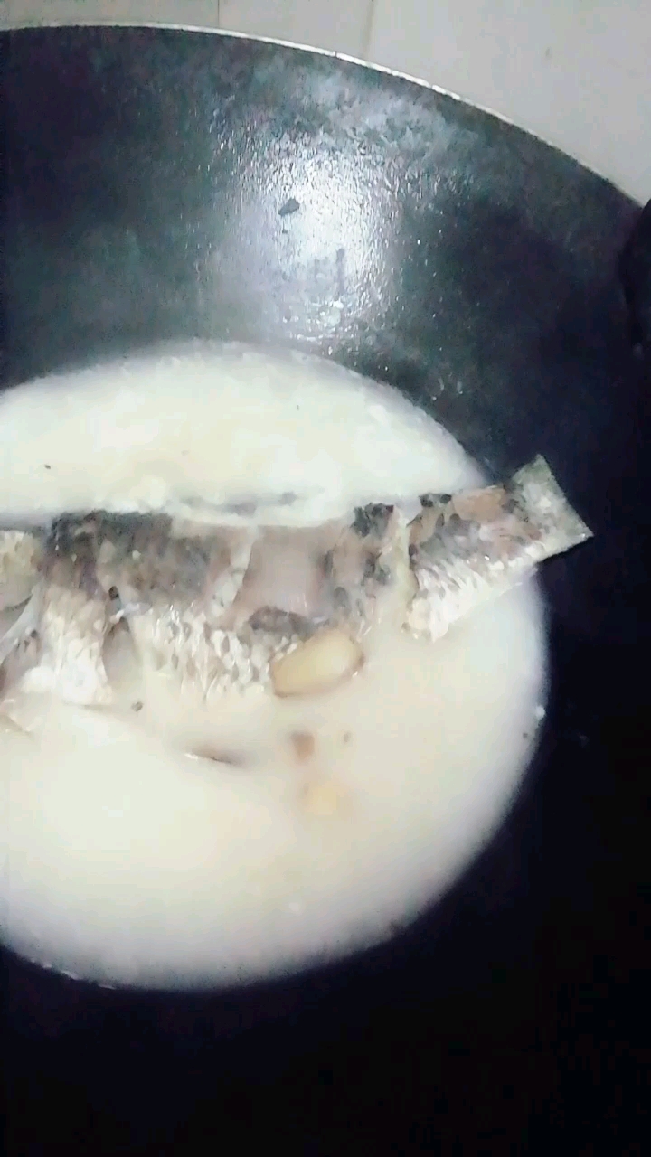 白侧鱼汤,煲出来的汤是奶白色的