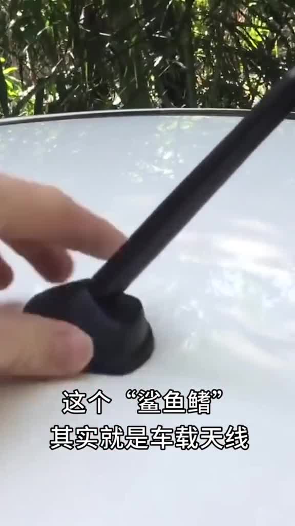 汽车顶部的鲨鱼鳍有什么作用