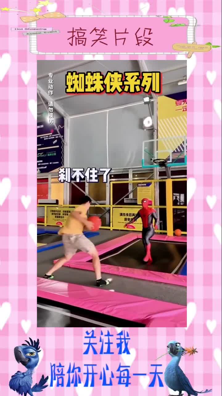 好家伙,小蜘蛛的身手也太好了!,搞笑视频