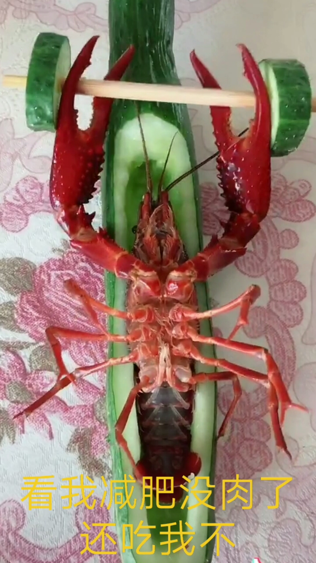 减没了肉还吃我不?