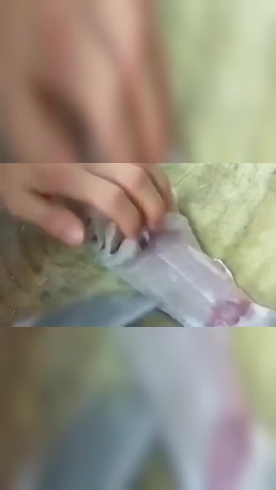 制作松鼠桂鱼的刀法叫松鼠花刀,尤其考验厨师的技艺,刀功真是厉害