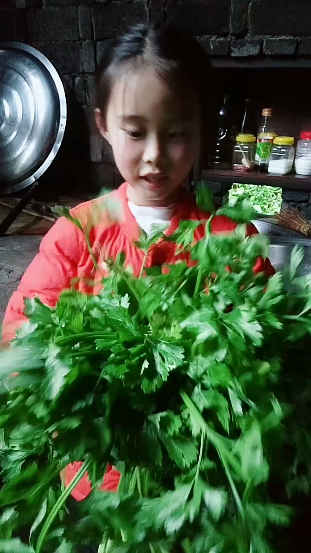 买来的新鲜芹菜保留根部放在有水的盆子里,就可以天天吃新鲜的,二十几天都不会焉掉!