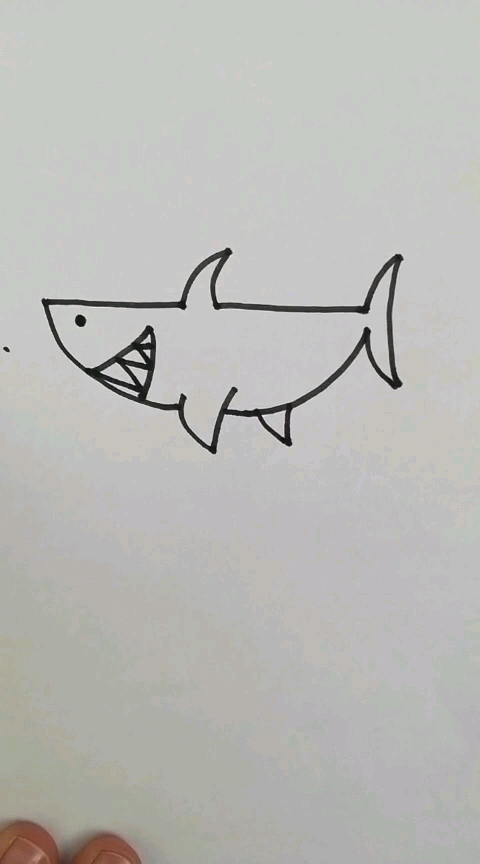 简笔画～鲨鱼