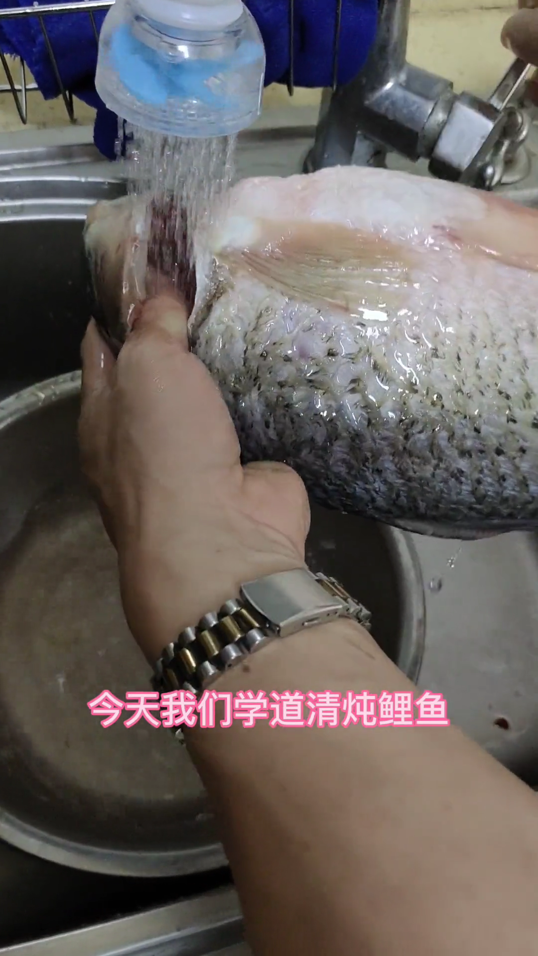 清炖鲤鱼的做法和步骤视频。
