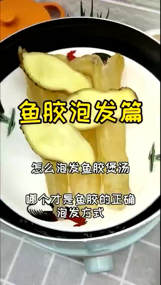 鱼胶正确泡发方法