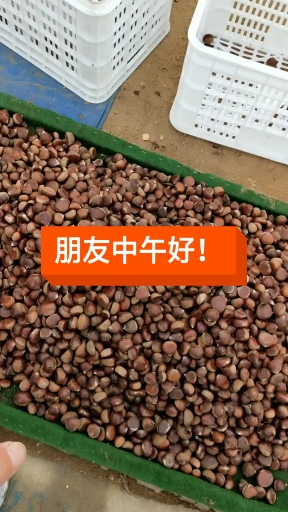 营口鲅鱼圈红旗镇大集!