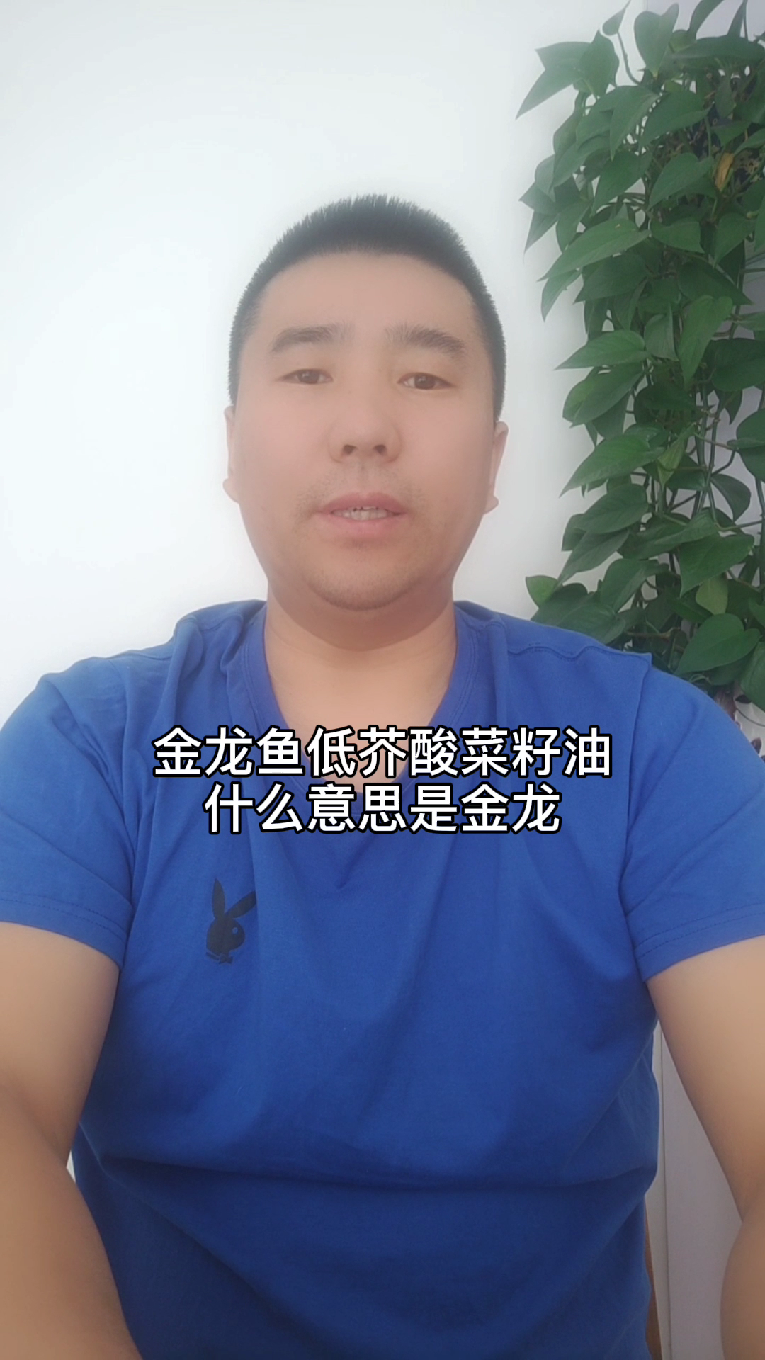 金龙鱼低芥酸菜籽油什么意思 