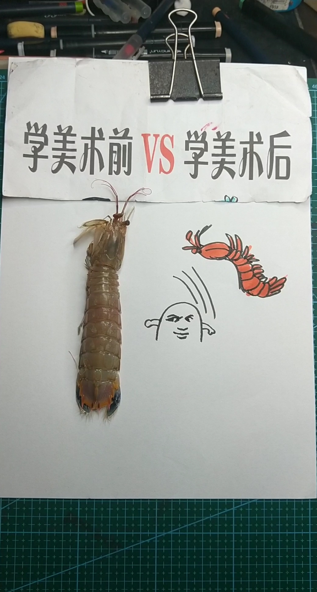 这才叫皮皮虾  知道吗