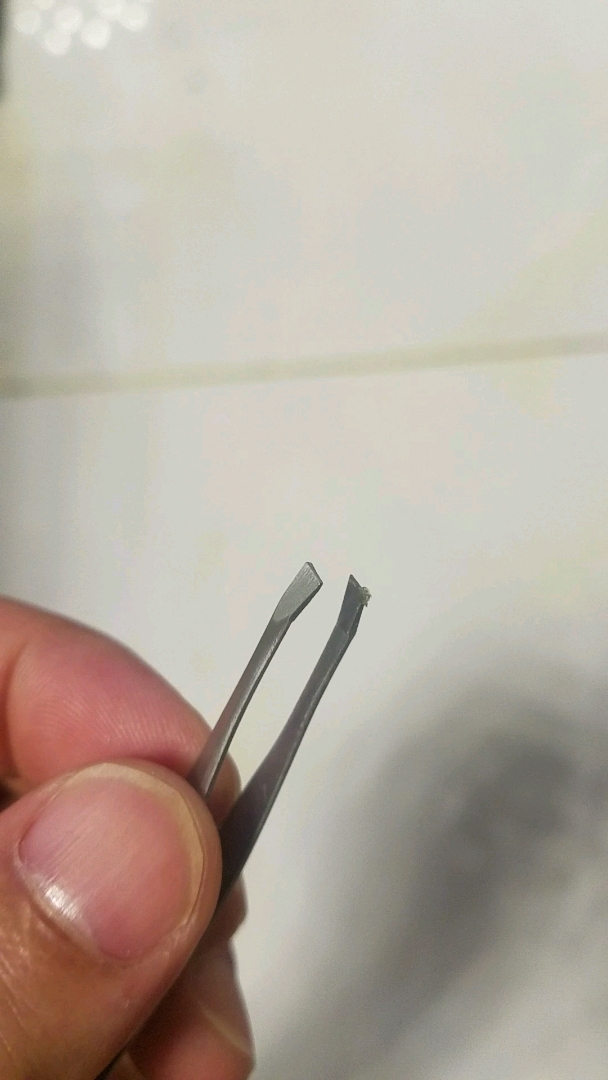 其实这是个鱼虱子……