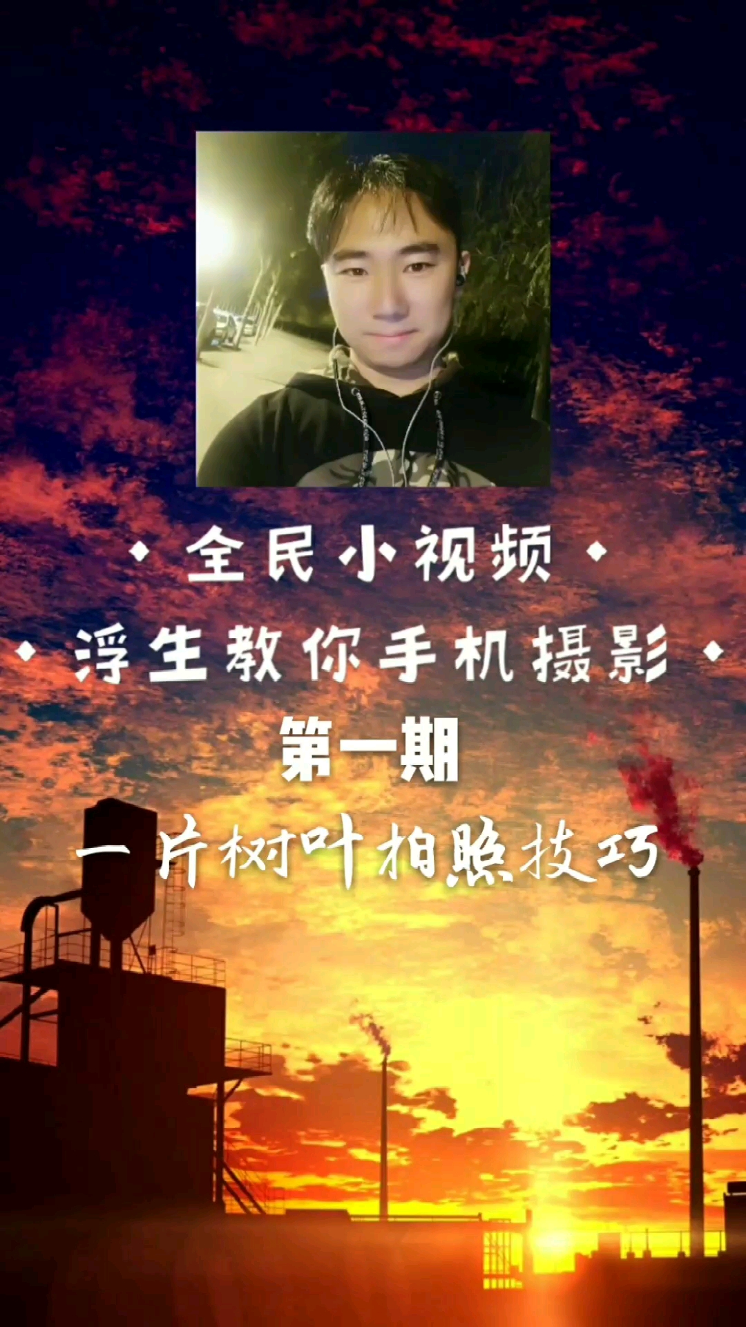 @全民小助手 一片树叶拍照片