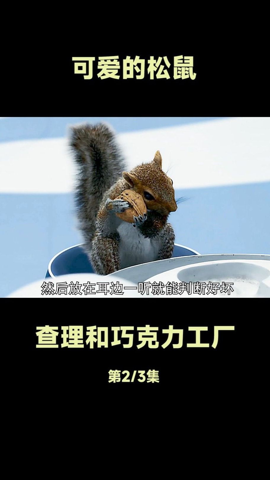 神奇的工厂,雇佣松鼠剥坚果!《查理和他的巧克力工厂》