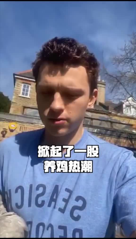 带货达人荷兰弟,,掀起英国养鸡热潮这波时尚达人实锤了哈哈哈!英国人民买鸡买鸡买鸡!