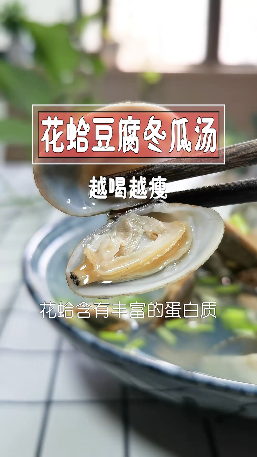#健康养生##小皮养生记 减脂期你们都吃什么呢?#花蛤豆腐冬瓜汤 #养生  #美食