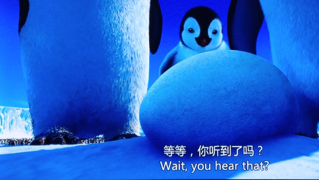 可爱的小企鹅