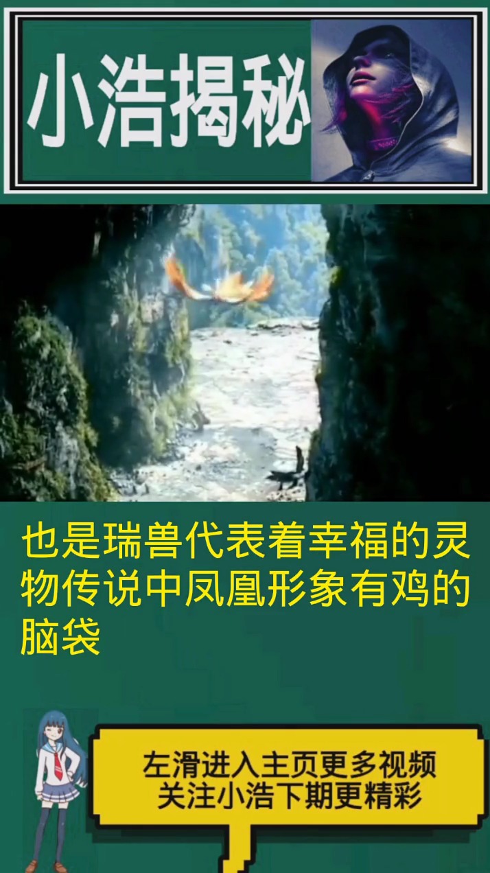 凤凰是古代传说中的,最有名的吉祥鸟
